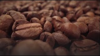 How to Decaffeinate Coffee Coffee Decaffeination Processes [upl. by Aikkin322]