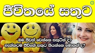 How to Live a Happy Life  ඔබ ජීවත් වෙන්නෙ සතුටින් ද  Shanethya TV [upl. by Ellenar]