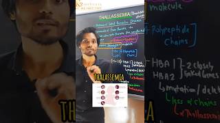 Thalassemia  Mendelian Disorder neet biology shorts k2institute [upl. by Evannia]