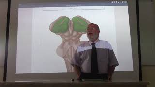 Neuroanatomy 76  Diencephalon  part 1   by Dr Wahdan [upl. by Leonor]