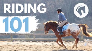 HOW TO RIDE A HORSE EASY BEGINNERS GUIDE [upl. by Ahsitahs264]