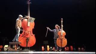 Amazing Grace Amazing Octobass [upl. by Ynnol707]