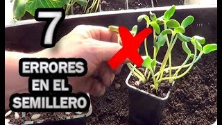 👉 7 Errores Que Todos Cometimos Preparando Semilleros 🌱 Solución  La Huertina De Toni [upl. by Chien658]