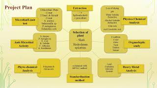 Standardisation and Antimicrobial Activity of Hedychium spicatum Shati [upl. by Anuahsat]