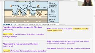 Neuromuscular Blockers and Spasmolytics Pharmacology for Naturopaths [upl. by Erual267]