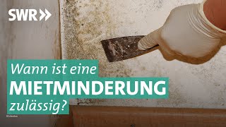 Mietminderung und Räumungsklage Krach zwischen Mieter und Vermieter  Marktcheck SWR [upl. by Wildon]