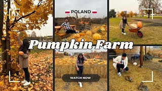 Pumpkin Farm Warsaw Poland 🇵🇱  Autumn in Poland  Farma Dyń  Poland Vlogs In Hindi [upl. by Hanaj]