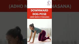 रीढ़ की हड्डी को स्वस्थ रखने के लिए आसान योगासन  Spine Health Yoga Tips [upl. by Ailehs]