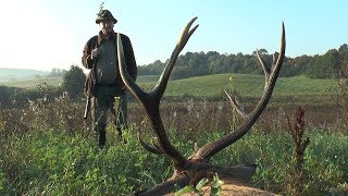 Packende Jagd und Hirsch erlegt [upl. by Ordnaxela]