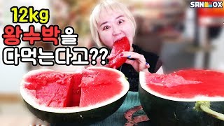 이마트씨없는 흑수박 완전달달♥애봉이 EatingShow SocialEating [upl. by Rangel]