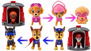 Mejores Videos Para Niños Aprendiendo Colores  Paw Patrol Magic House Learn Colors for Kids [upl. by Henarat]