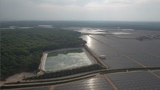 Aquí está el agua que no llega a Doñana [upl. by Charla322]