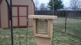 How to Make a Suet Bird Feeder woodloggercom [upl. by Yanttirb302]