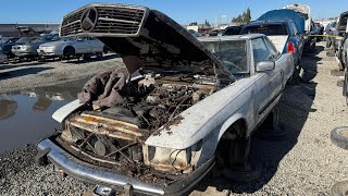 Epic Day at 2 California Junkyards MercedesBenz R107 R129 W201 W126 C126 C140 W140 W123 [upl. by Streetman27]