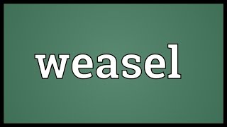 Weasel Meaning [upl. by Ardnuahsal]