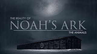 The Animals  The Reality of Noahs Ark [upl. by Standice68]