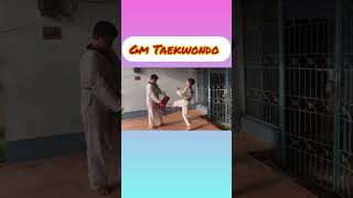 Speed kicks GMTAEKWONDO [upl. by Mendelsohn430]