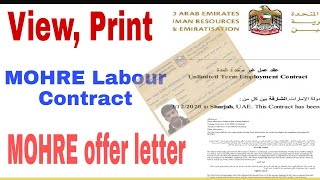 How to View Print Labour Contract amp Offer Letter [upl. by Enitsirhk]