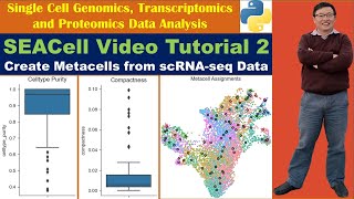 SEACell Video Tutorial 2 Create Metacells from scRNAseq Data [upl. by Lattie409]