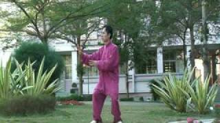 Qigong Shibashi 1 parte 2 serie con el Maestro Ru Zi Yi [upl. by Jacquelyn733]