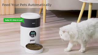 New released Wopet Smart Pet Feeder [upl. by Asilegna390]