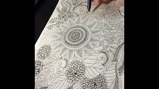 How to draw Botanical doodle zentangle 12 [upl. by Urian679]