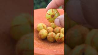 Mouth Watering Amloki Amla shorts food fruit masala amla [upl. by Keverne]