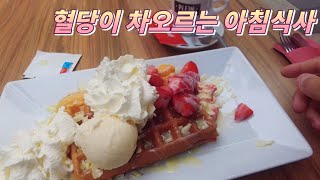 로테르담 카페에서 먹는 흔한 모닝 와플  Café Plein Rotterdam 랜선여행 [upl. by Yrohcaz]