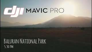 Drone View Taman Nasional Baluran Afrikanya Indonesia  Dji Mavic Pro [upl. by Vaenfila]