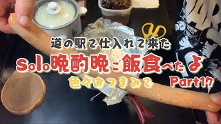 solo道の駅で仕入れたいろいろ肴で一杯やる晩酌晩ご飯食べたよPart17 [upl. by Nohtiek]