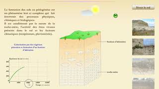 Les différentes étapes de la pédogenèse formation dun sol [upl. by Mat433]