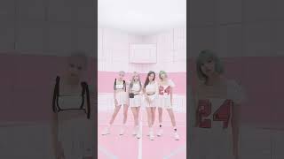 Black pink  short video [upl. by Okemak]