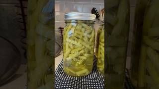 Canning Green Beans canninglife garden greenbeans [upl. by Sigismond311]