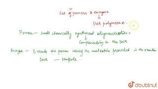 AMPLIFICATION OF GENE OF INTEREST USING PCR [upl. by Tatum726]