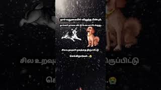 Entha 👍uravum namathaga one person dog ♥️ga nambuga frdsvideo status💯💯💯💯 [upl. by Brownson]