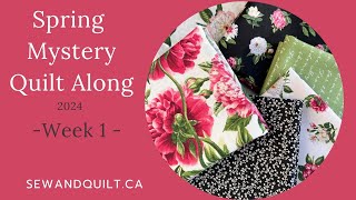 Spring Mystery Quilt Along 2024 Week 1 [upl. by Amikahs]