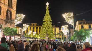 Accensione albero Sorrento [upl. by Gausman132]