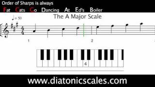 A Major diatonic scale [upl. by Kenzi]