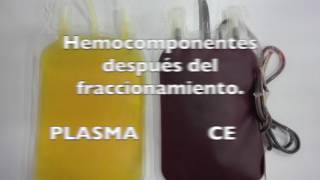 Definición de hemocomponentes ¿Que me pueden transfundir en una cirugía [upl. by Anerat478]