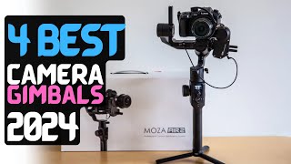 Best Camera Stabilizer of 2024  The 4 Best Camera Gimbals Review [upl. by Rombert]