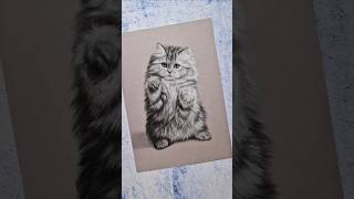 Pastel animal portraits art pastel pastelart pastelanimals animalism cat commission realism [upl. by Viviene]