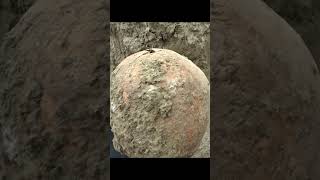 German soldier found with bullet still in head  WWII exhumations  keyhole entry [upl. by Nagear472]