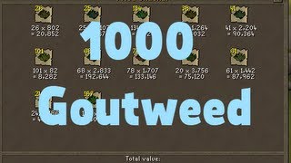 Exchanging 1000 Goutweed [upl. by Westerfield409]