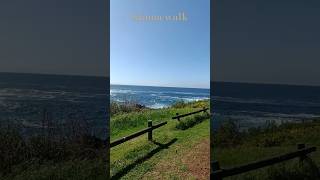 Kiama coastal walk nsw tourism beach lookout shorts [upl. by Enehs]