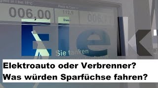 Abenteuer Elektroauto 25 Elektro vs Verbrenner  Was würden Sparfüchse fahren 🤔😁 [upl. by Shimkus]