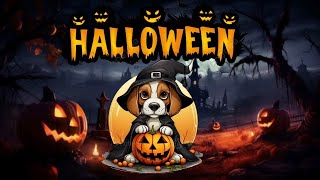 Waflloween 🎃🐶 Ouaf  Halloween 🎃 [upl. by Adnamra]