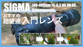 【作例あり】超望遠レンズの入門機？ SIGMA 100400mm F563 DG DN OS  Contemporary レンズレビュー [upl. by Artemus]