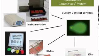 Introduction to the CometAssay® [upl. by Ecnatsnoc718]