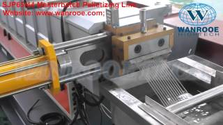 Corotating Twin Screw ExtruderPlastic Compounding Extruder Counter Rotating Extruder [upl. by Fran]