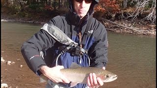 Esopus Creek Fall Flyfishing Large Rainbow [upl. by Nalod779]